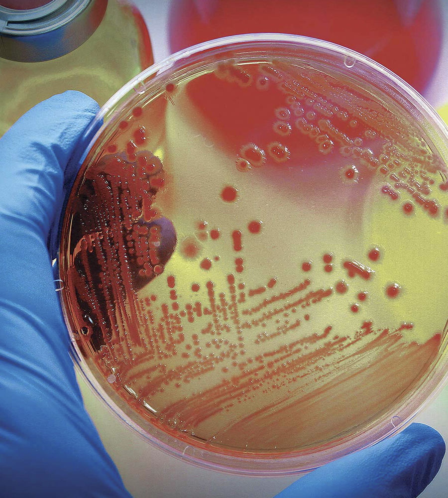 Microbiology Lab Services UAE